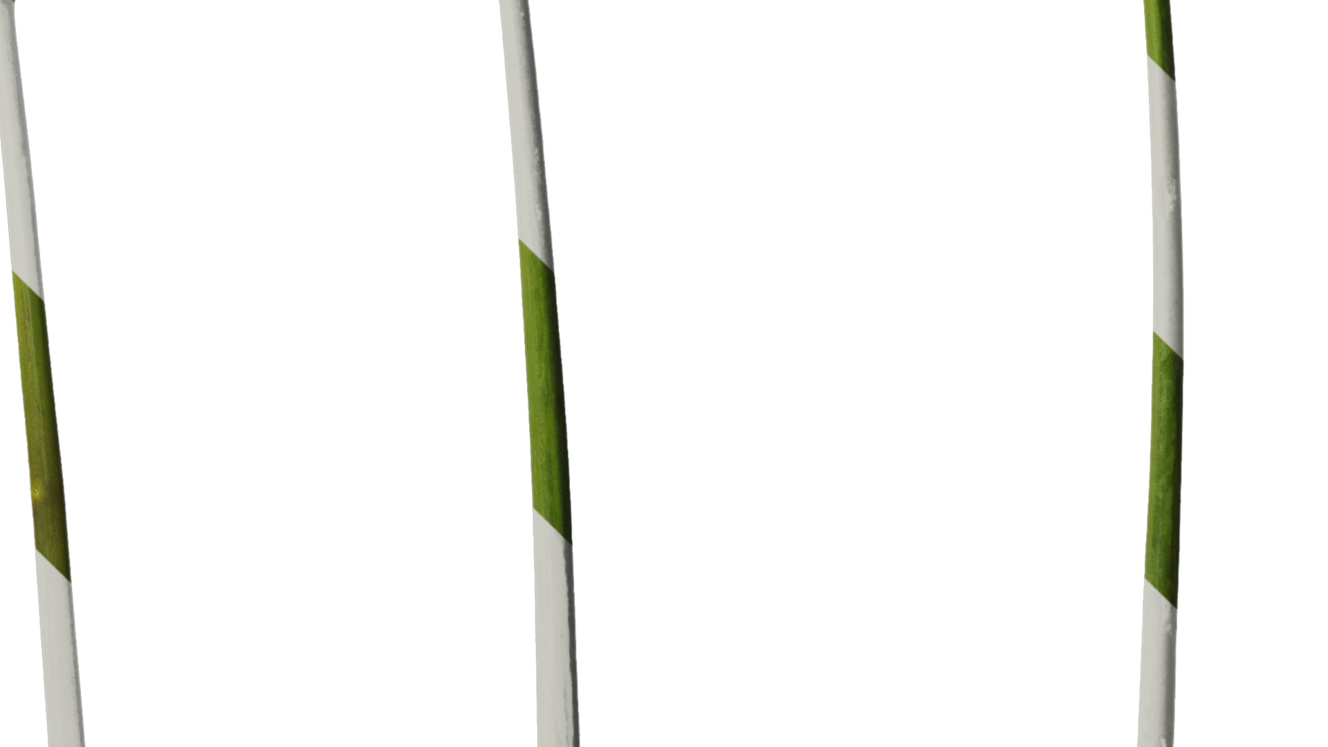 Anydrafts Cyrtanthus mackenii Atlas 01 Texture_4