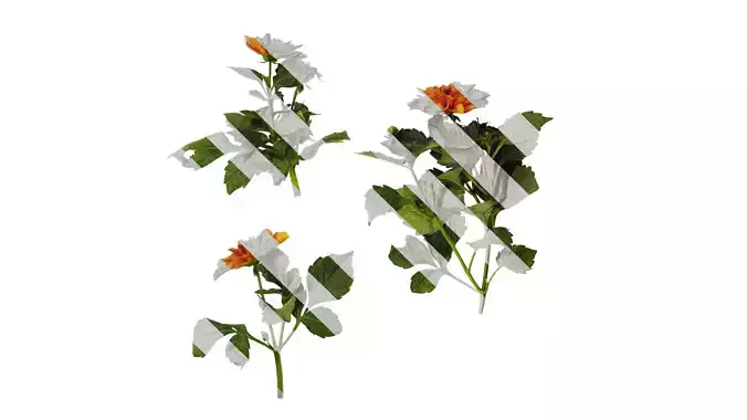 Anydrafts Dahlia pinnata 01 Atlas 01