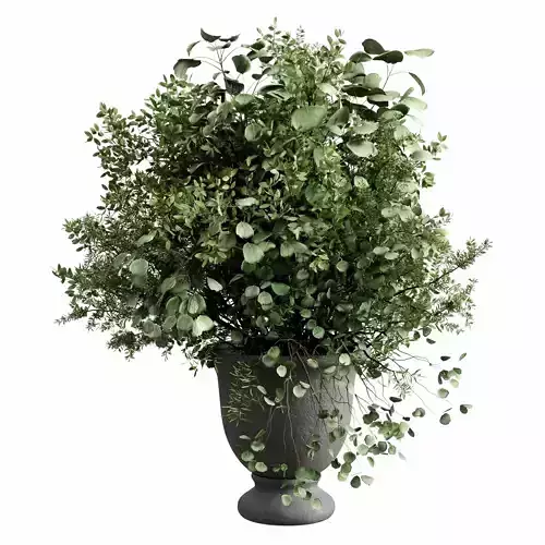 Bouquet green plant in grey concrete dirty vase 48
