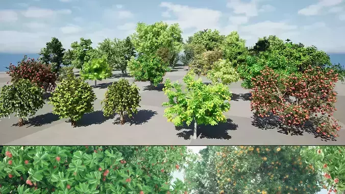 highly detailed Fruit Trees 3D Pack 01 3D model