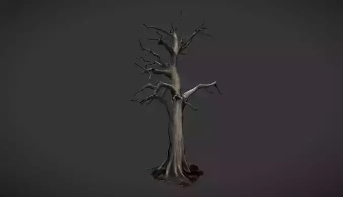 Withered Sentinel Dead Tree