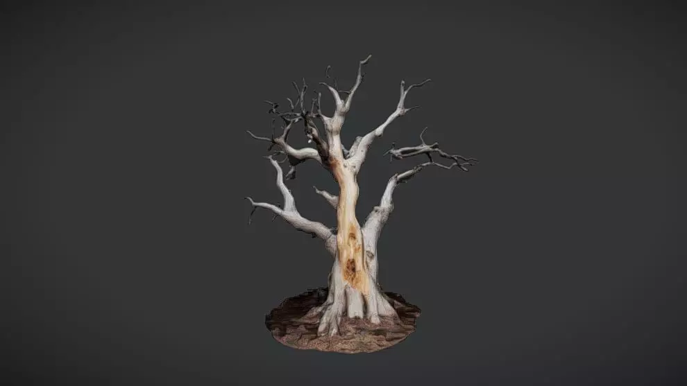 Twisted Elegance DEAD TREE 3D model_0
