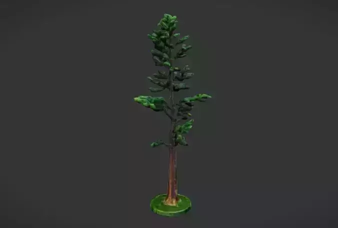 Tree Model on Grid
