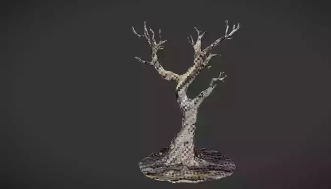 Timeless Tree Dead Tree