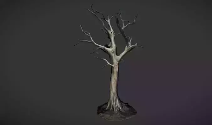 Solitary Sentinel Dead Tree 