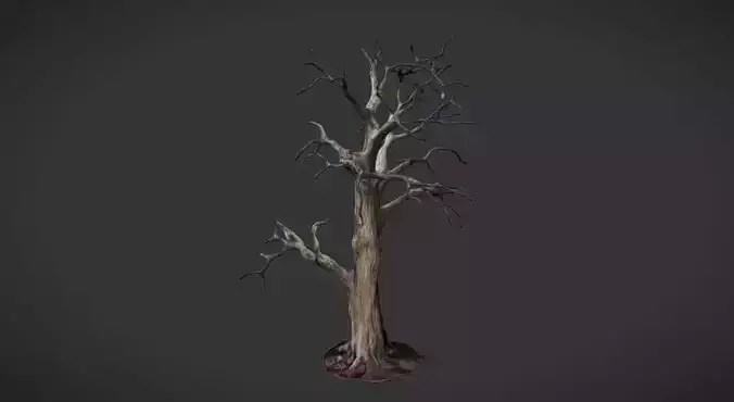 Solitary Sentinel Dead Tree