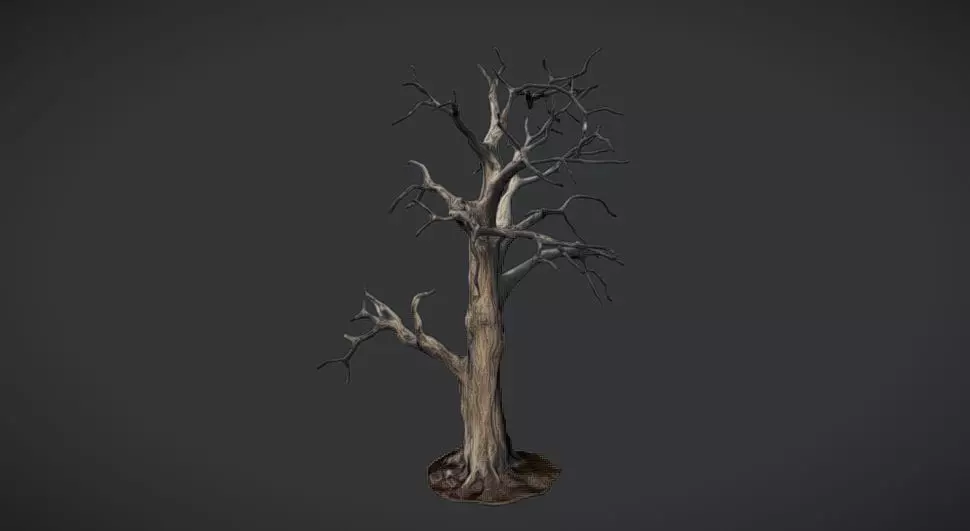 Solitary Sentinel Dead Tree 3D model_0