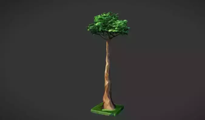 Solitary Sapling Tree