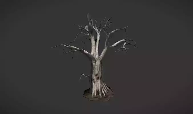 Enchanted Oak Dead Tree