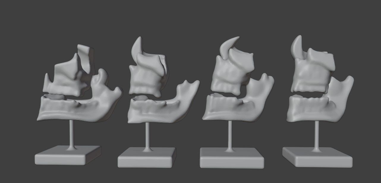 3D Model of Human Dental Development Anatomy 3D print model_12