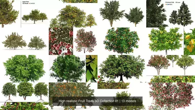 High realistic Fruit Trees 3D Collection 01 