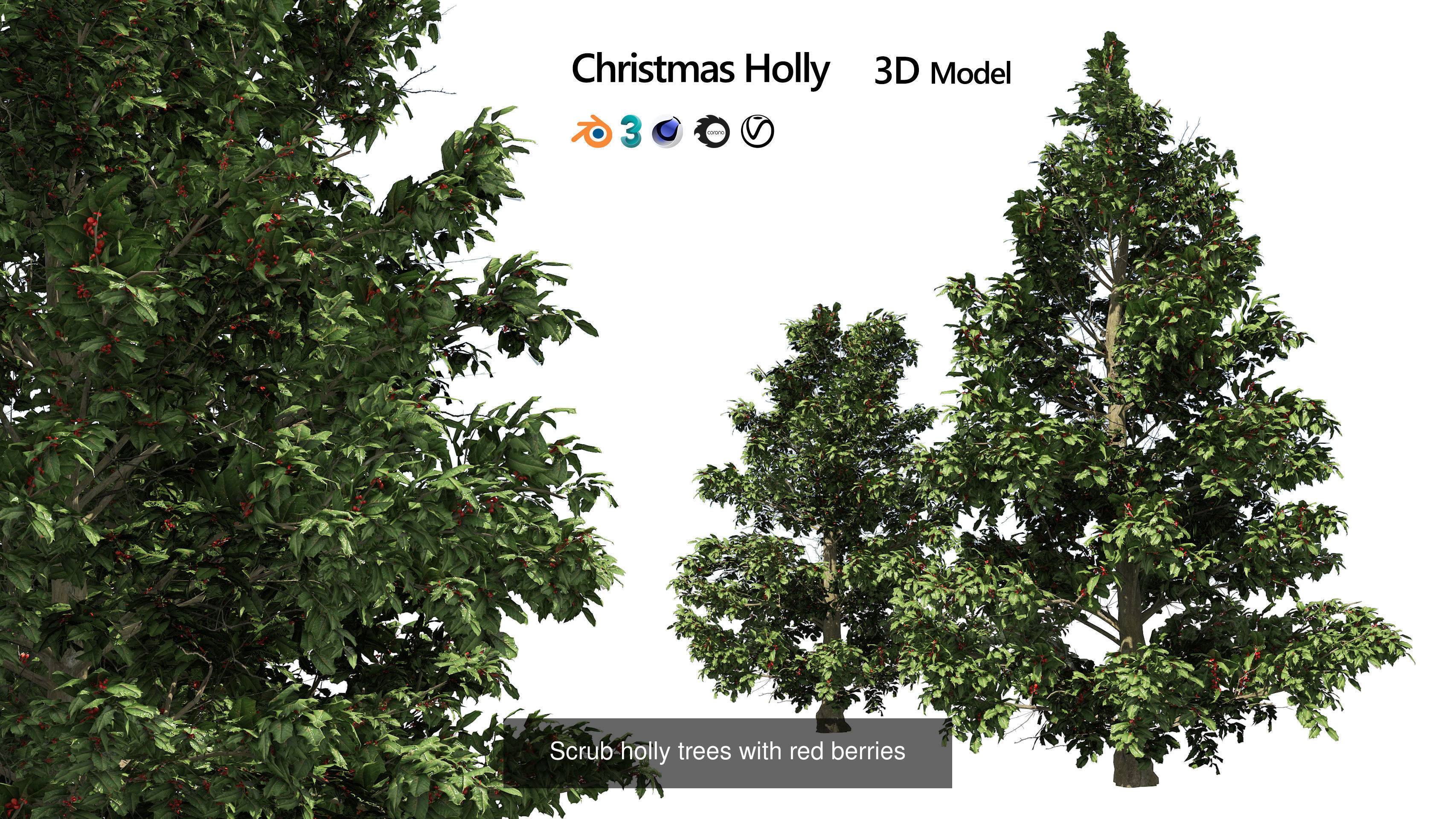 High realistic Fruit Trees 3D Collection 01 _12