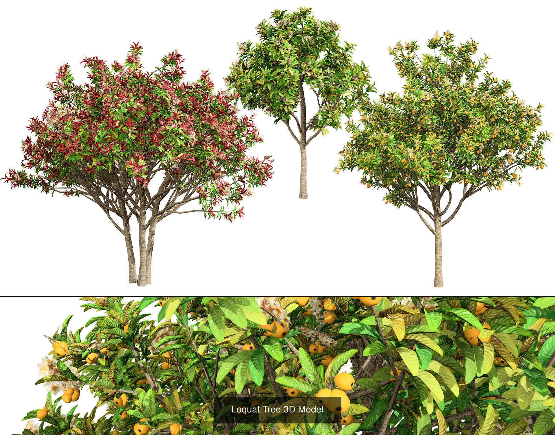 High realistic Fruit Trees 3D Collection 01 _20