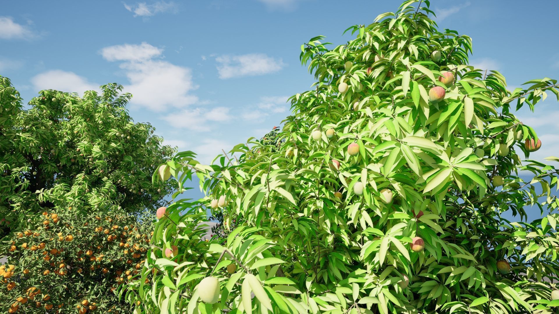 High realistic Fruit Trees 3D Collection 01 _28
