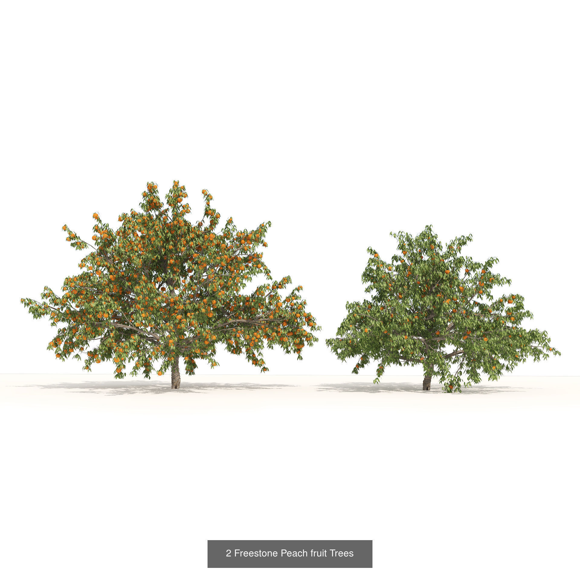 High realistic Fruit Trees 3D Collection 01 _13