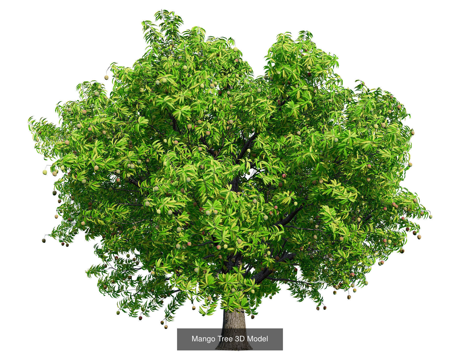 High realistic Fruit Trees 3D Collection 01 _17
