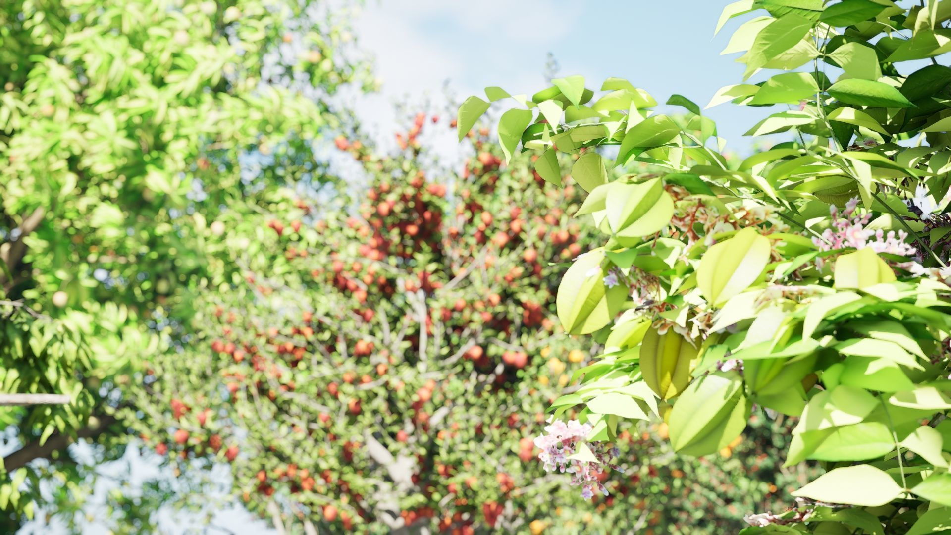 High realistic Fruit Trees 3D Collection 01 _26