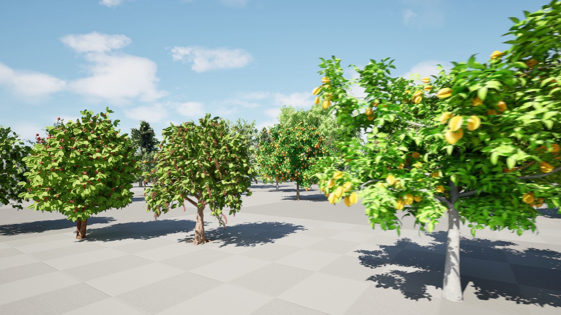 High realistic Fruit Trees 3D Collection 01 _23