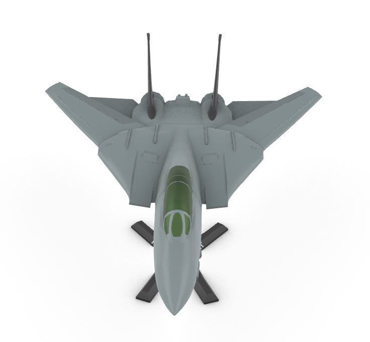 F-14 Tomcat wing movable 3D print model_3