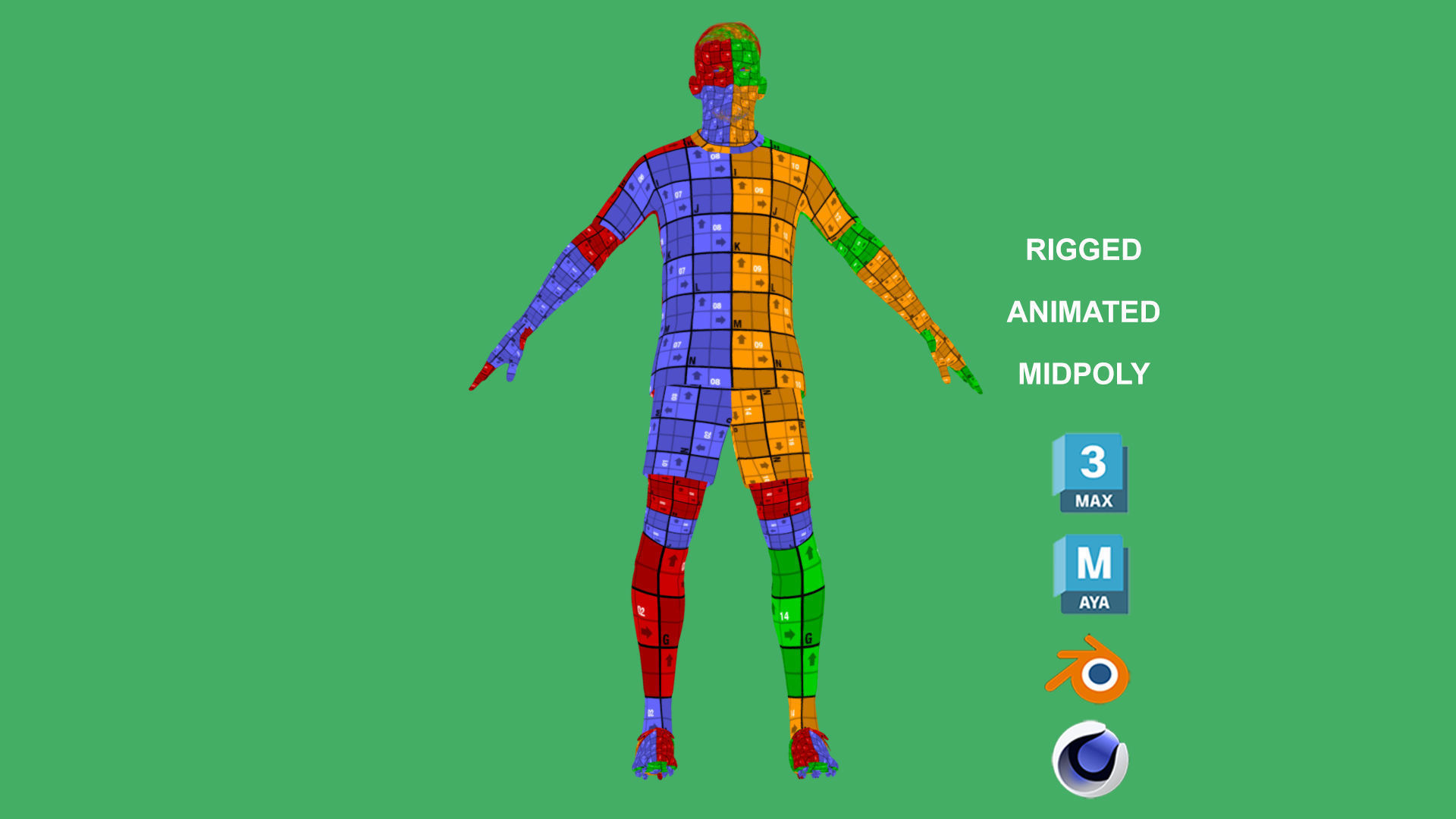 3D Rigged Andy Robertson Liverpool 2025 Low-poly 3D model_4