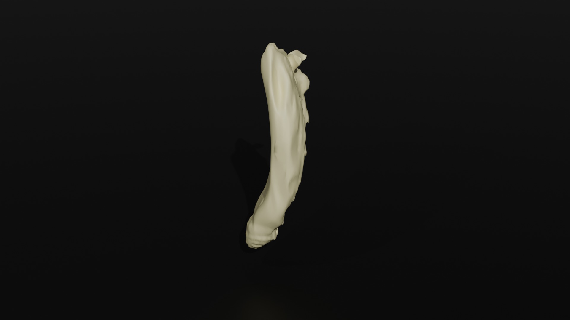 Os Sacrum 3D model_3
