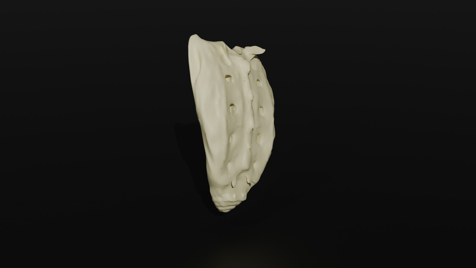 Os Sacrum 3D model_4
