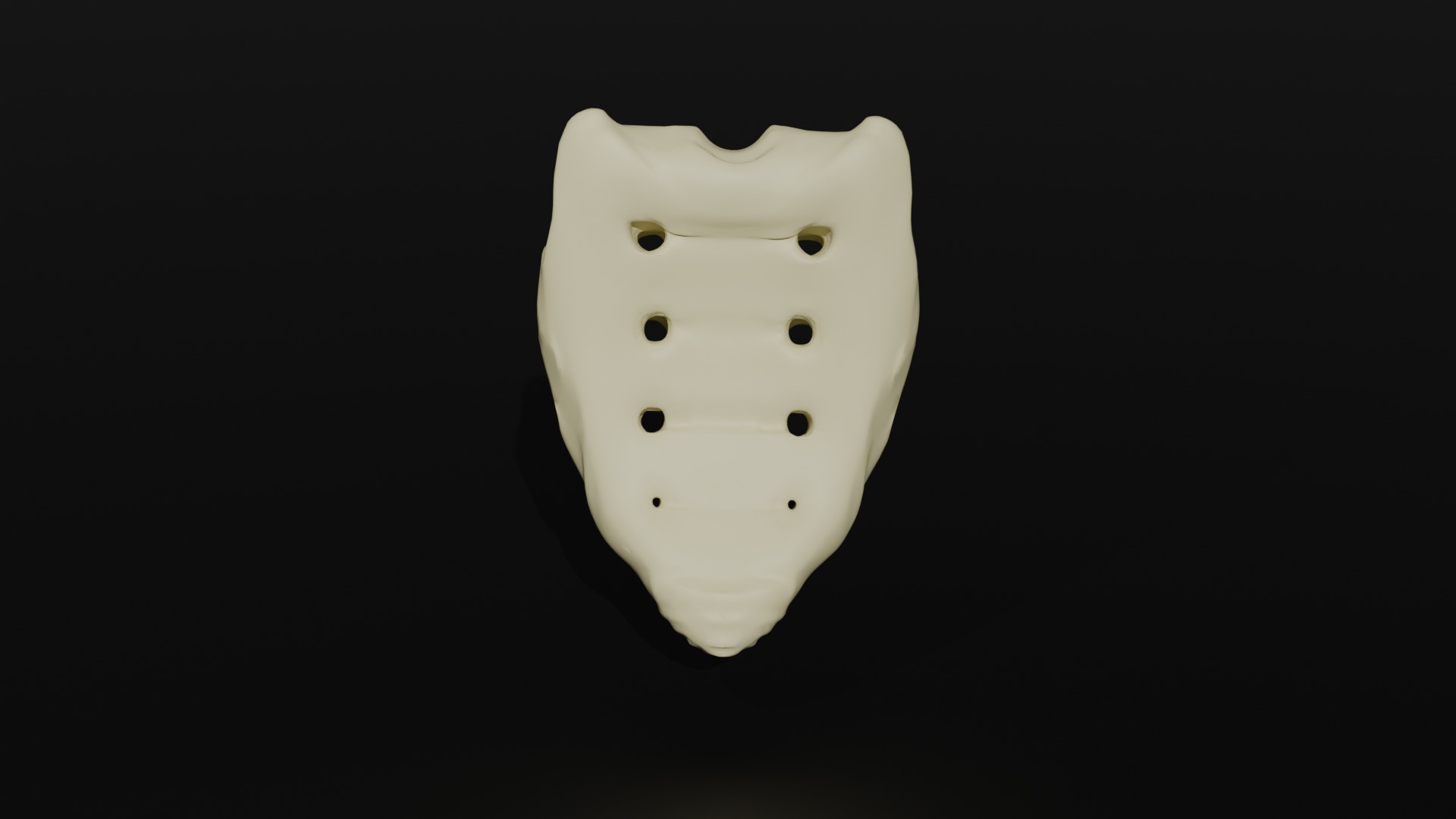Os Sacrum 3D model_2