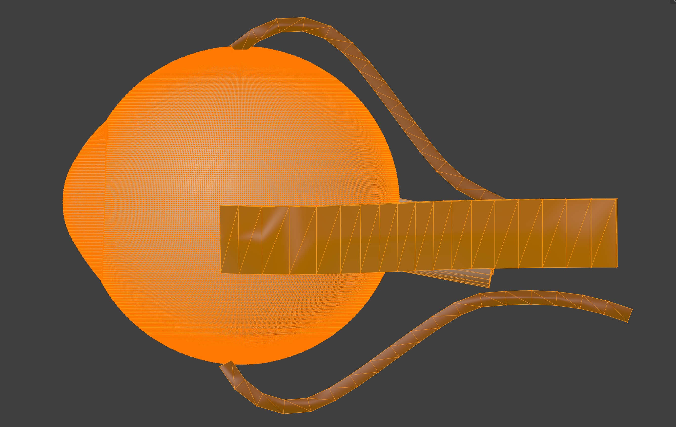 3D Eye Model Anatomy - Cross Section 3D print model_3