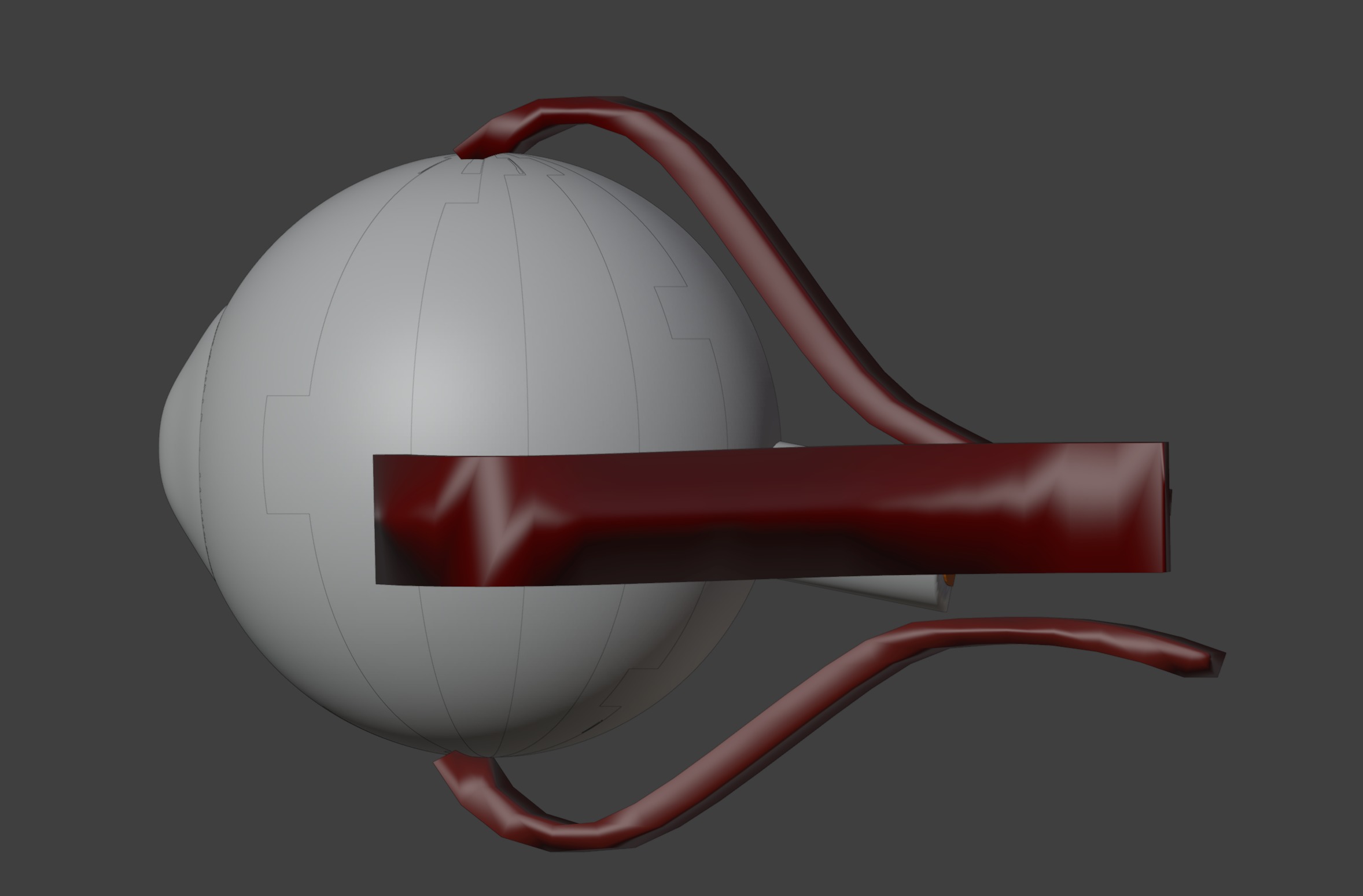 3D Eye Model Anatomy - Cross Section 3D print model_8