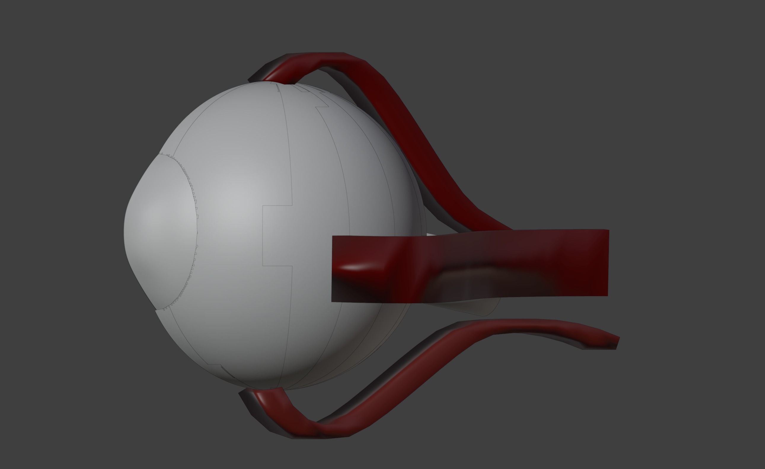 3D Eye Model Anatomy - Cross Section 3D print model_7