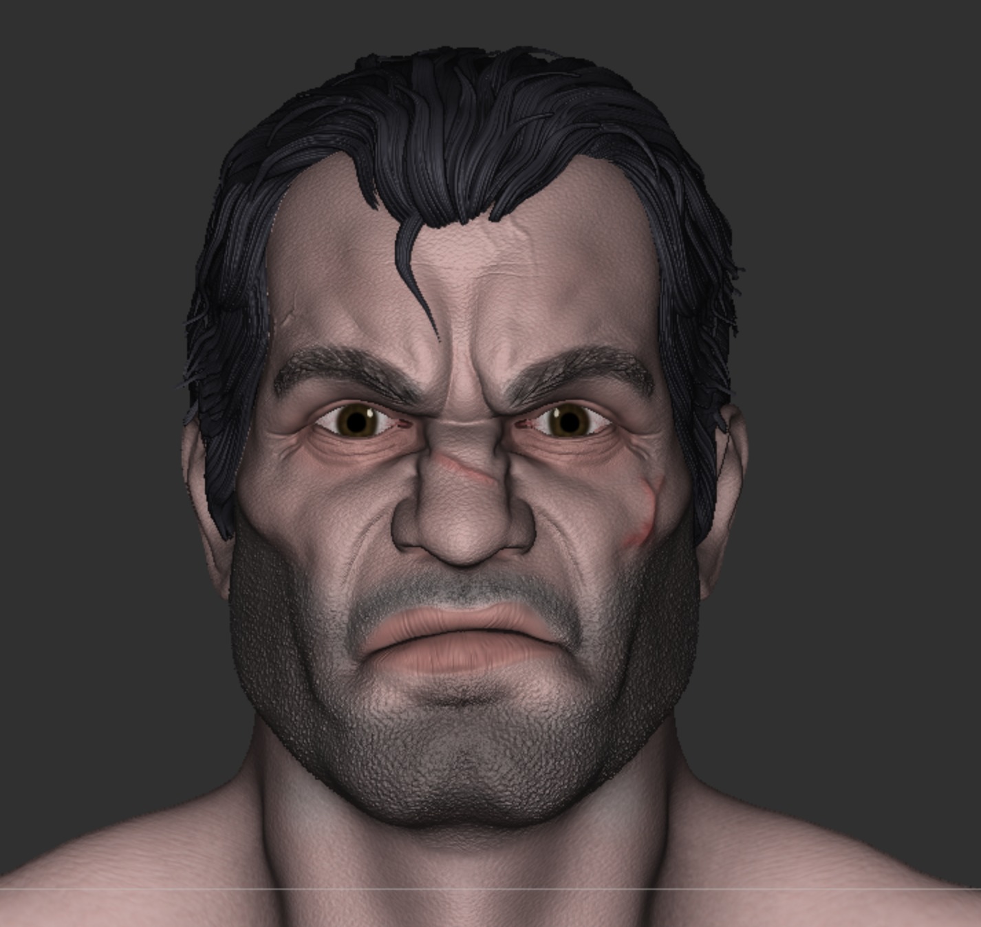 Punisher Frank Castle Headsculpt 3D print model_1