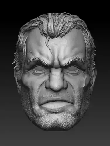 Punisher Frank Castle Headsculpt