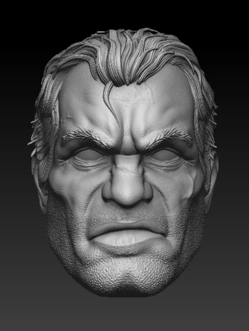 Punisher Frank Castle Headsculpt 3D print model_0