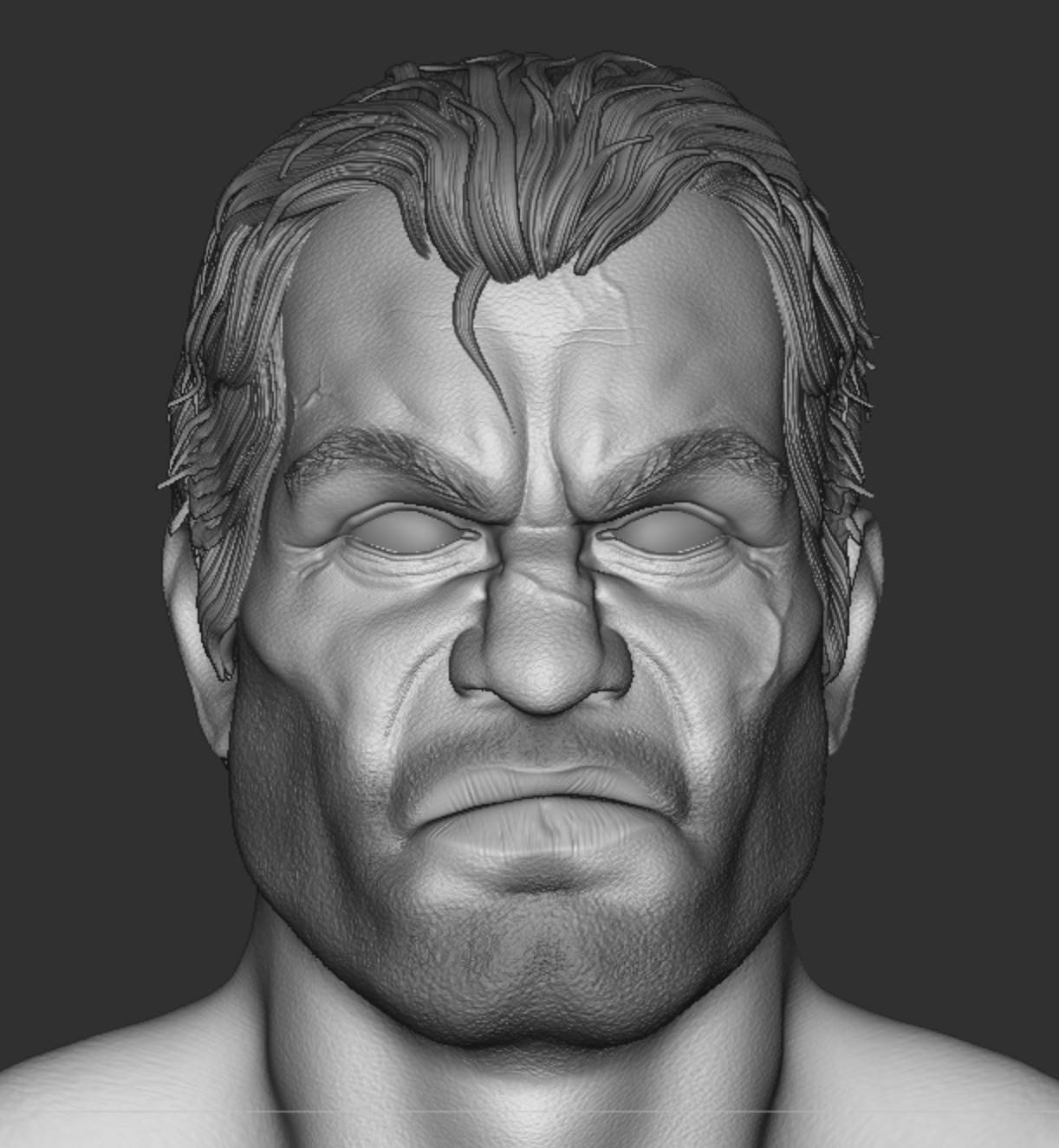 Punisher Frank Castle Headsculpt 3D print model_2