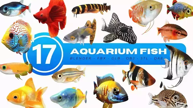 Aquarium Fish Collection - 17 Set
