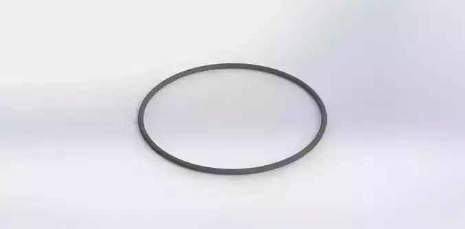 O Ring Vedabras 12074