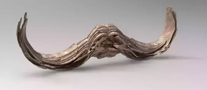 Ancient Pre History Horns