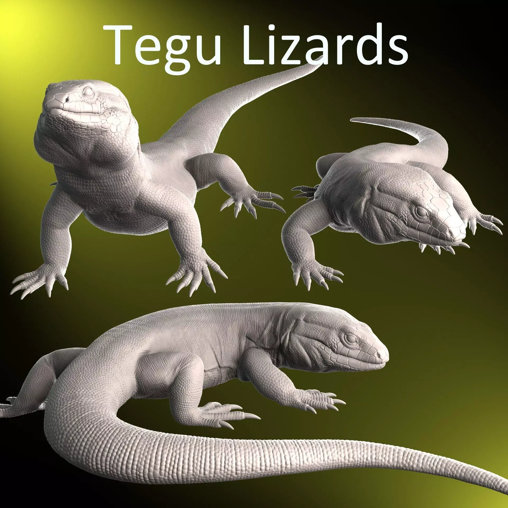 Argentine Tegu Lizard 3D Print Models 3D print model