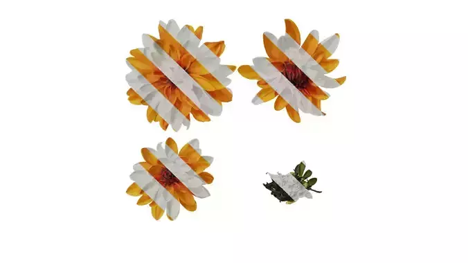 Anydrafts Dahlia pinnata 01 Flower 02