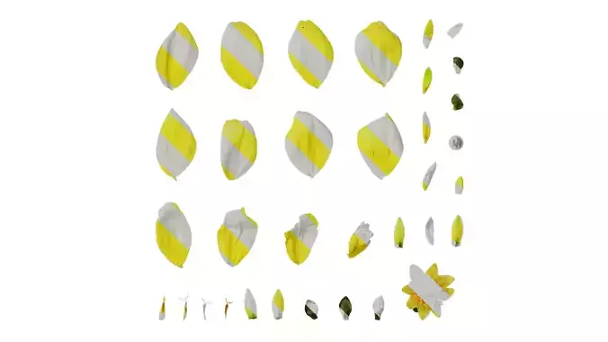 Anydrafts Dahlia pinnata 01 Flower 04