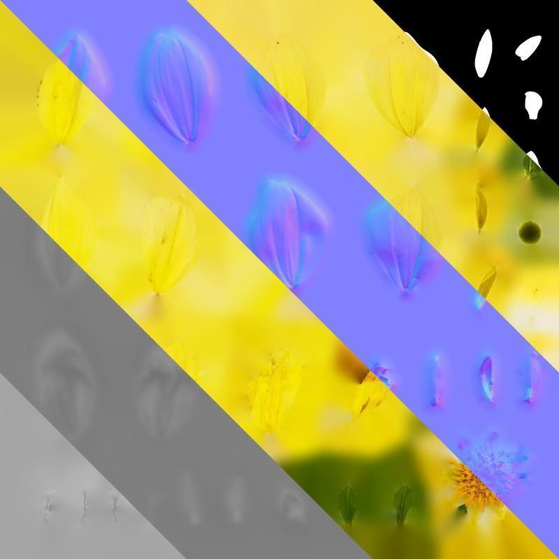 Anydrafts Dahlia pinnata 01 Flower 04 Texture_8