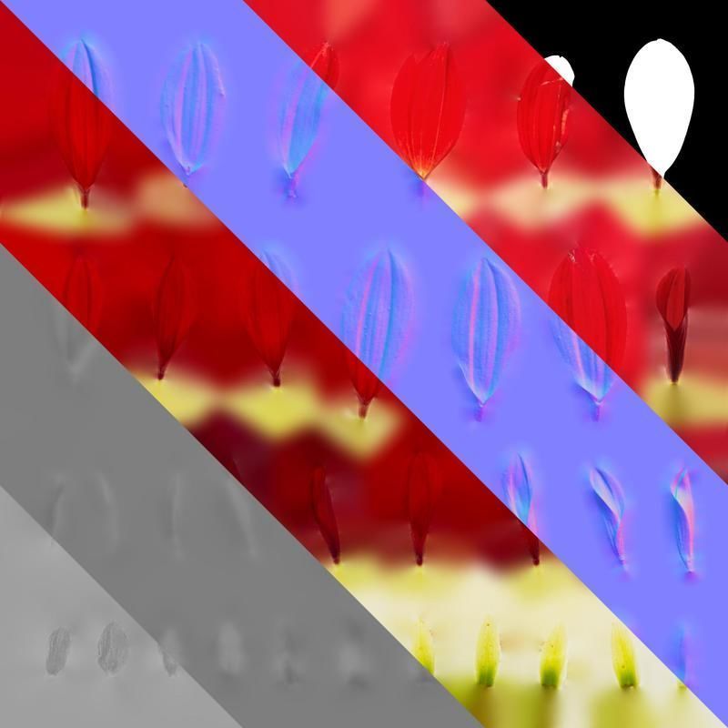 Anydrafts Dahlia pinnata 01 Flower 05 Texture_8