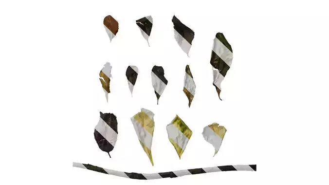 Anydrafts Citrus trifoliata Leaf 03