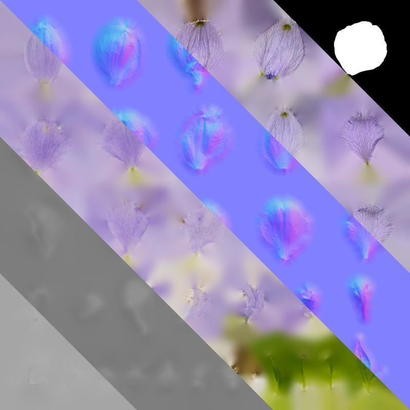 Anydrafts Delphinium elatum Flower 05 Texture_8