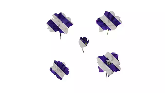 Anydrafts Delphinium elatum Flower 06