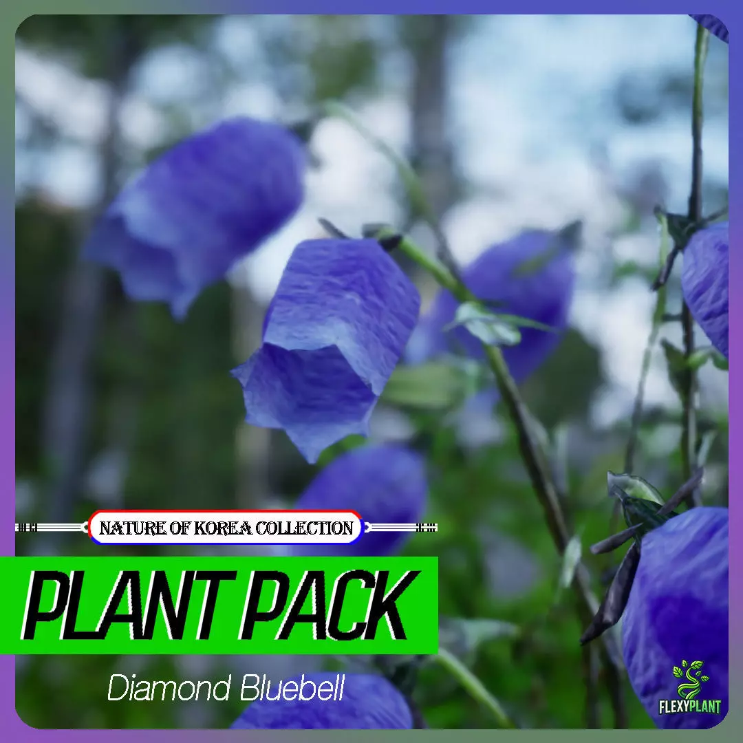 Korean Endemic Species Plant - 4 Korean Diamond Bluebell Flower Low-poly 3D model