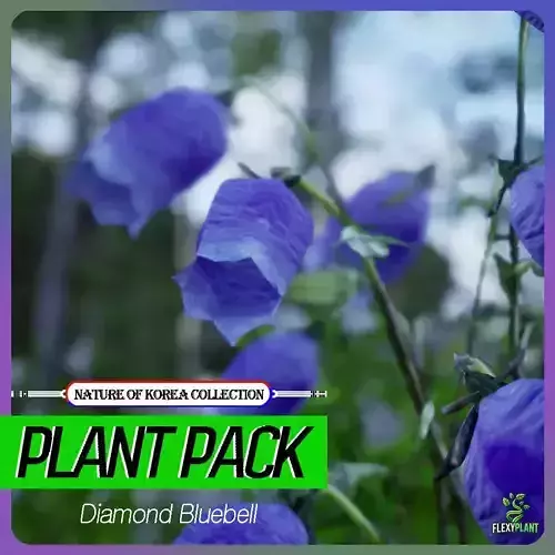 Korean Endemic Species Plant - 4 Korean Diamond Bluebell Flower Low-poly 3D model