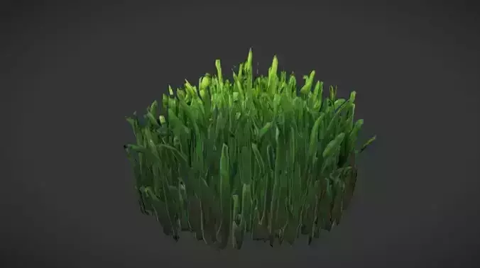 Grass Cluster Render