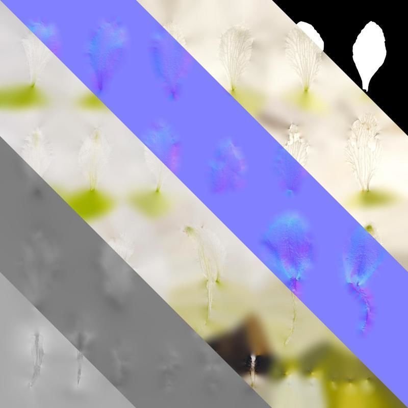 Anydrafts Delphinium elatum Flower 14 Texture_8