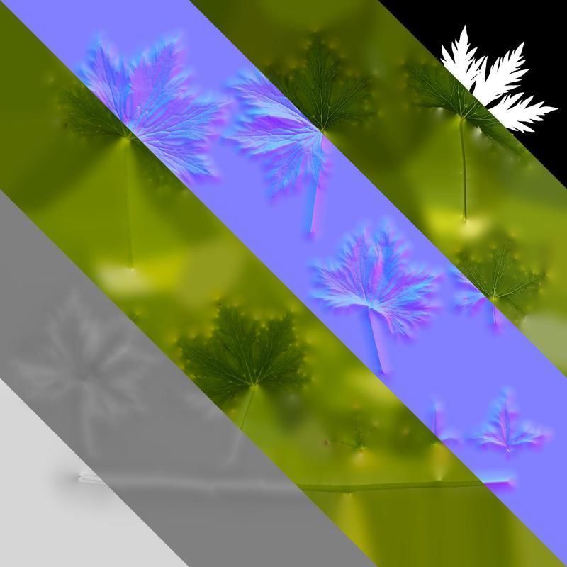 Anydrafts Delphinium elatum Leaf 01 Texture_8